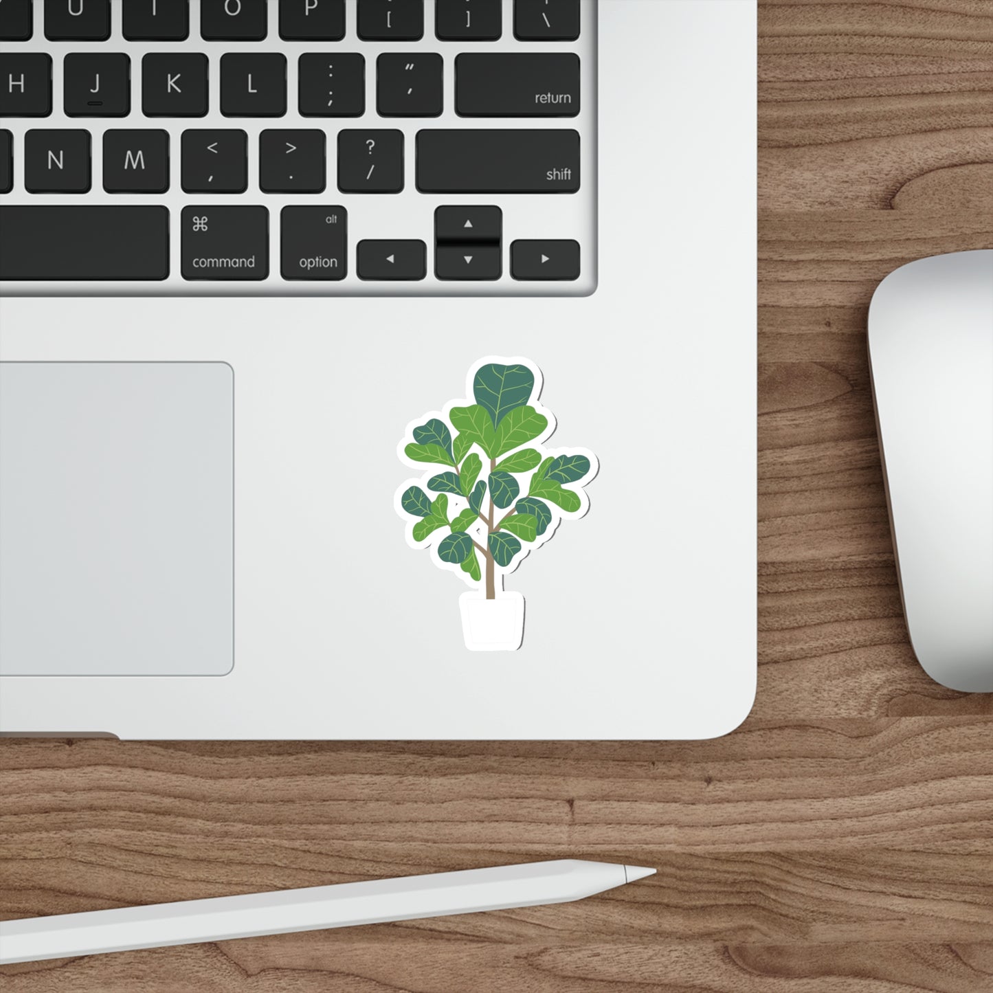 FIDDLE LEAF FIG Die-Cut Stickers Laptop Car Skateboard Luggage Hydroflasks Phone waterproof house plants