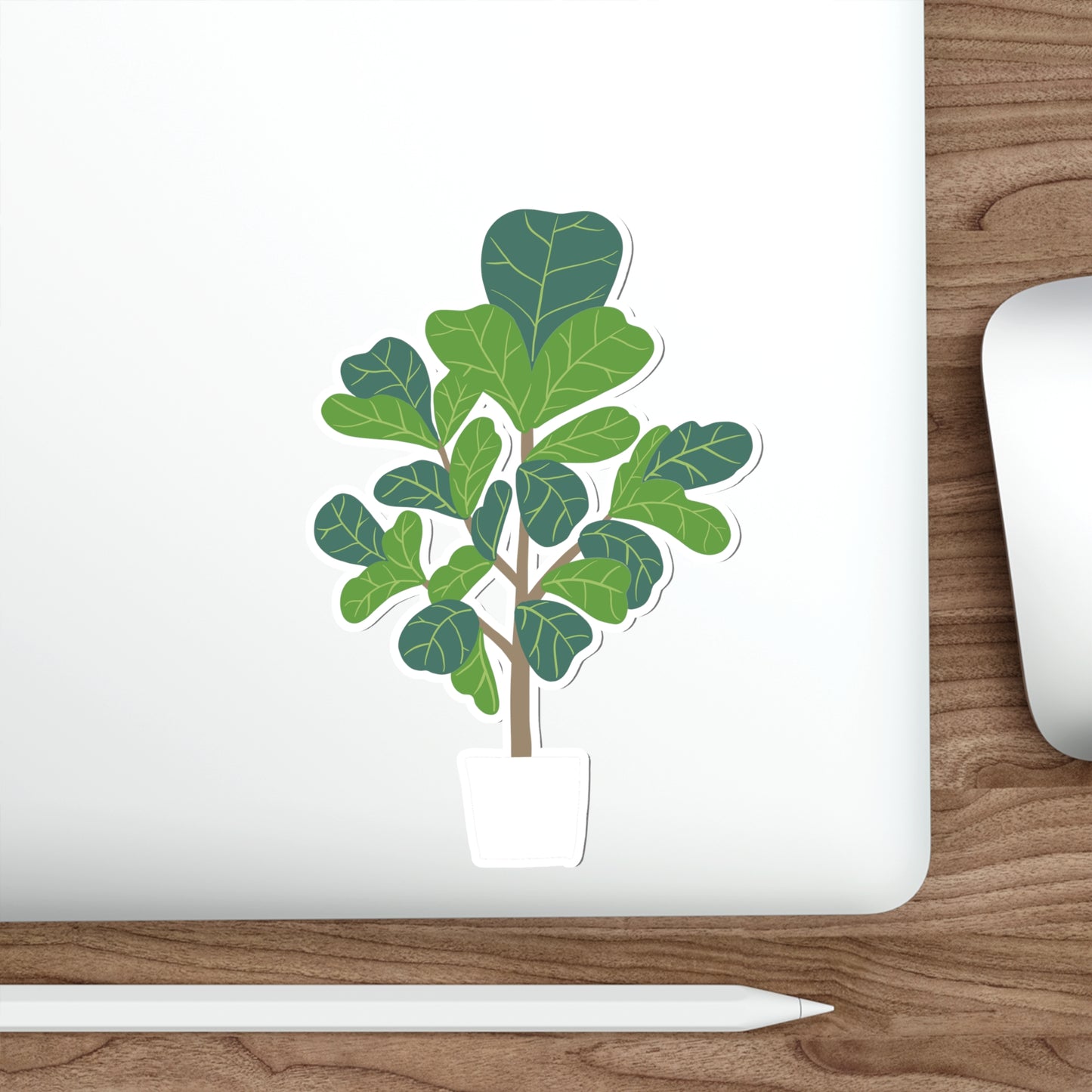 FIDDLE LEAF FIG Die-Cut Stickers Laptop Car Skateboard Luggage Hydroflasks Phone waterproof house plants