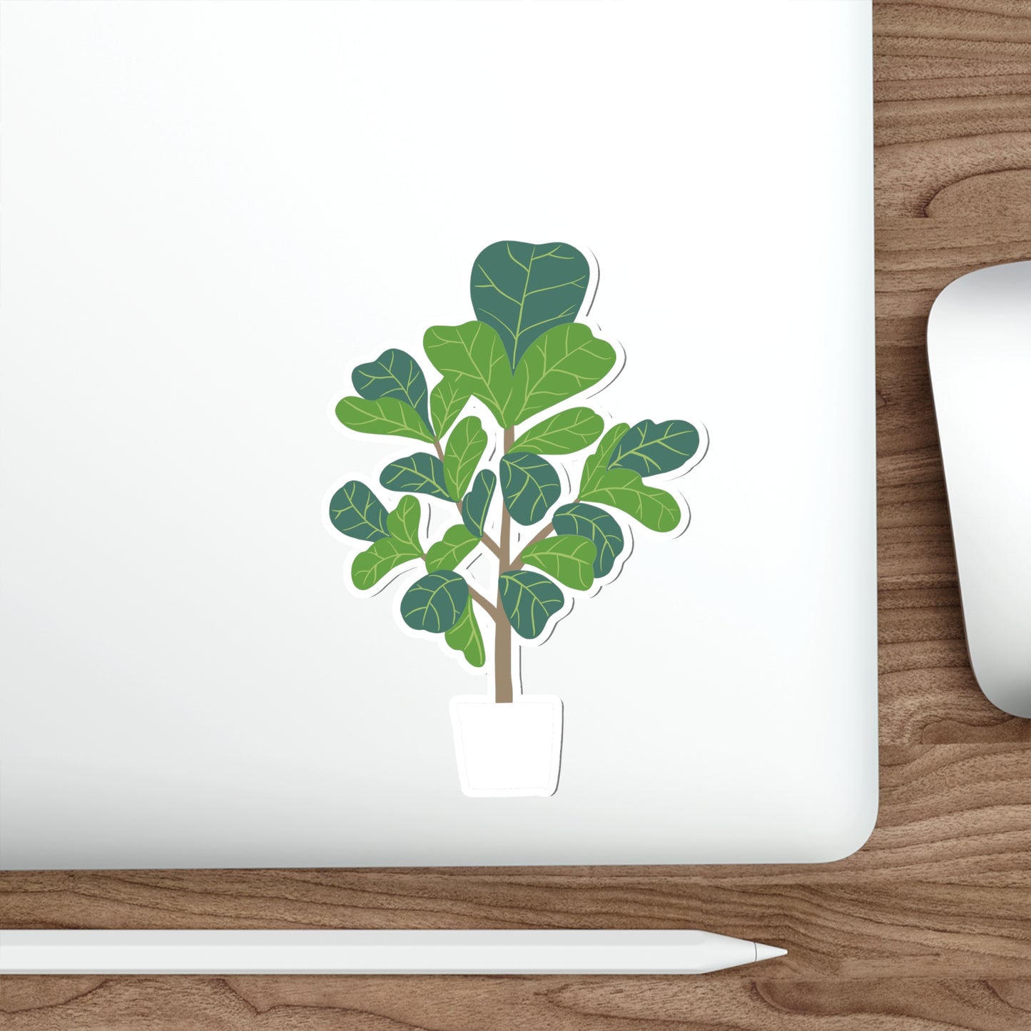 FIDDLE LEAF FIG Die-Cut Stickers Laptop Car Skateboard Luggage Hydroflasks Phone waterproof house plants