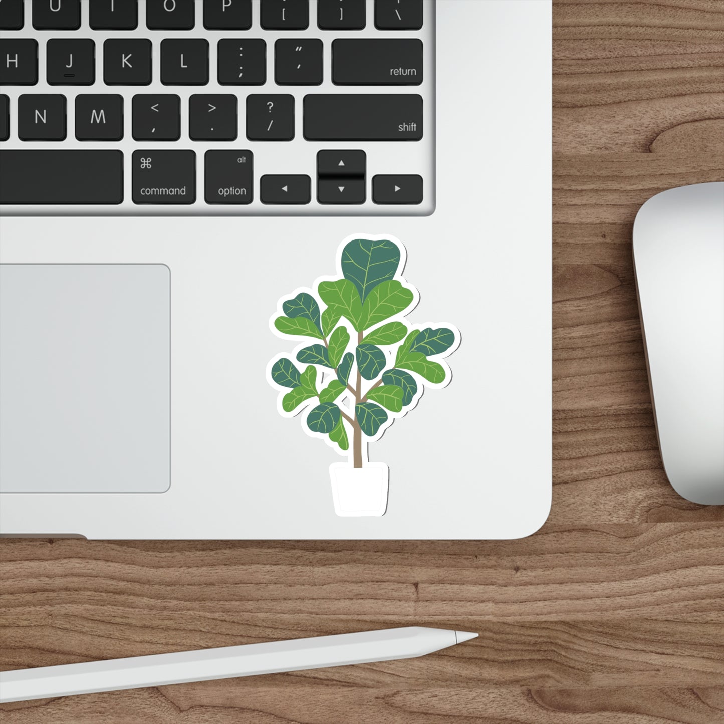 FIDDLE LEAF FIG Die-Cut Stickers Laptop Car Skateboard Luggage Hydroflasks Phone waterproof house plants